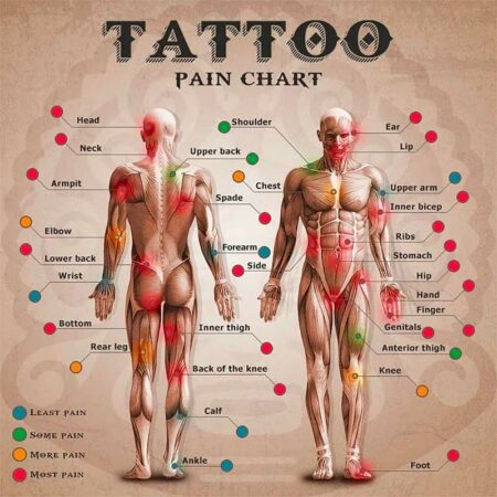 Tattoo Pain Chart