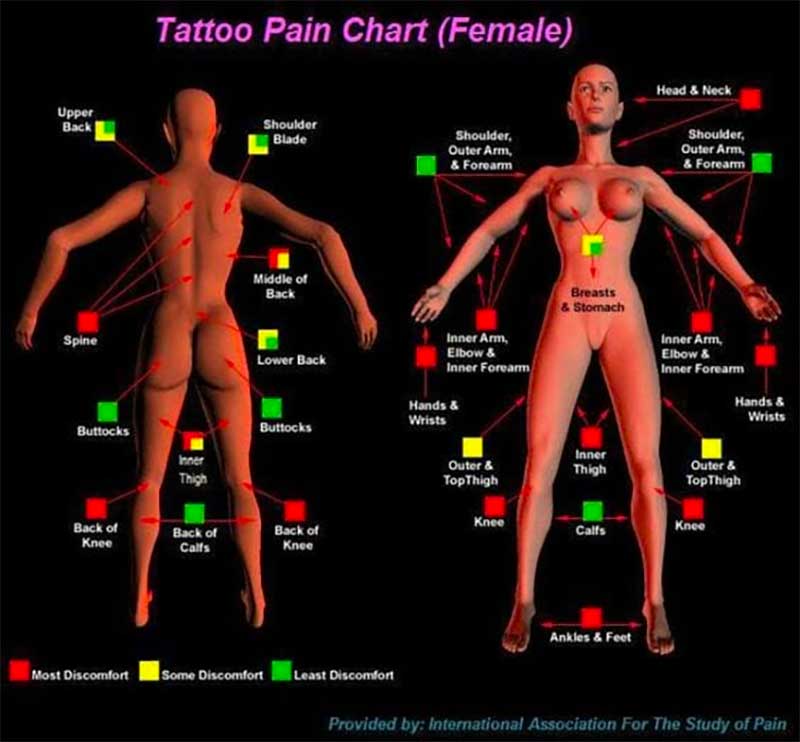 Tattoo pain tolerance chart