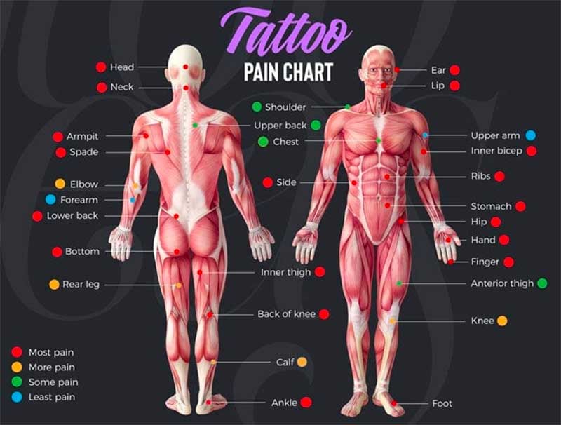 Which spots are the least painful ones?