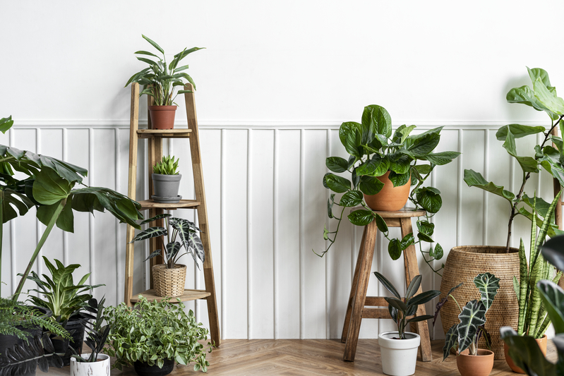Plant Parenting 101: A Beginner's Guide to Indoor Houseplants