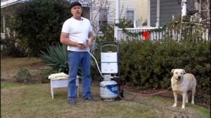 How to Use a Portable Dog Washer to Keep Your Dog Clean and Mud Free