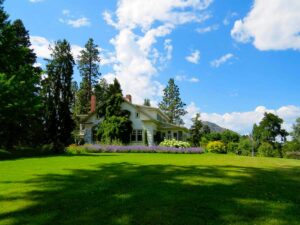 Update Your Backyard And Garden With These Tips
