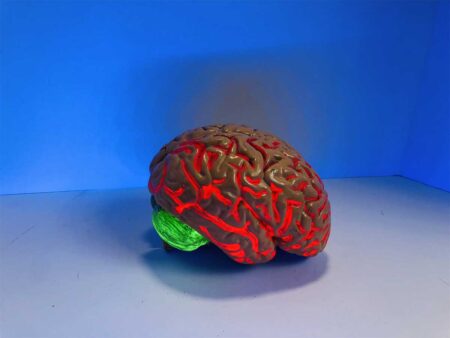 Unlock Your Brain's Potential with Innovative Approaches to Strengthen Cognition