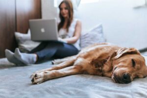 Home Safety Threats You Could Overlook