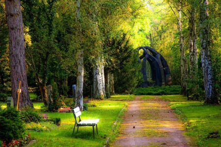 Reasons to Become a Funeral Director