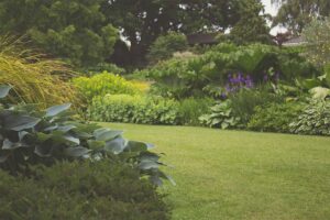 Eco-Friendly Way To Work On Your Garden