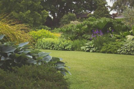 Eco-Friendly Way To Work On Your Garden