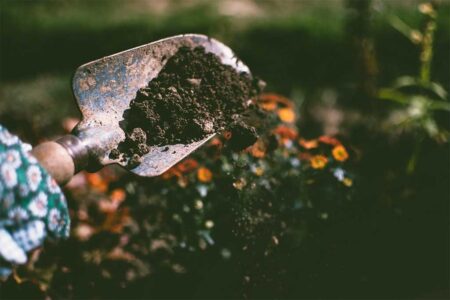 Why You Should Appreciate and Care for Your Garden