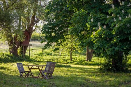 What Your Patchy Lawn Is Trying to Tell You