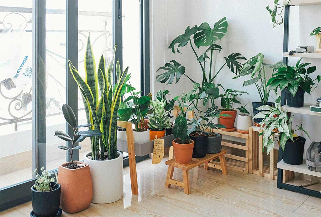 Home Habits Scientifically Proven to Make You Happier