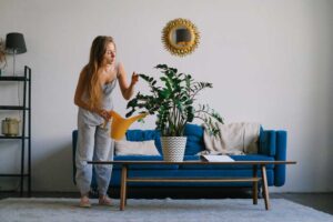 Easy Wins for a More Comfortable Home