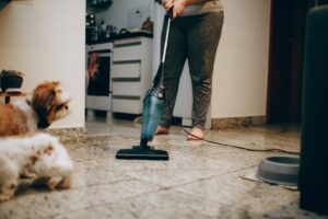 Would Your Pet Approve of Your Cleaning Products