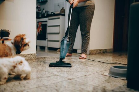 Would Your Pet Approve of Your Cleaning Products