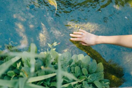 Most Eco-Friendly Upgrades You Can Make To Your Garden