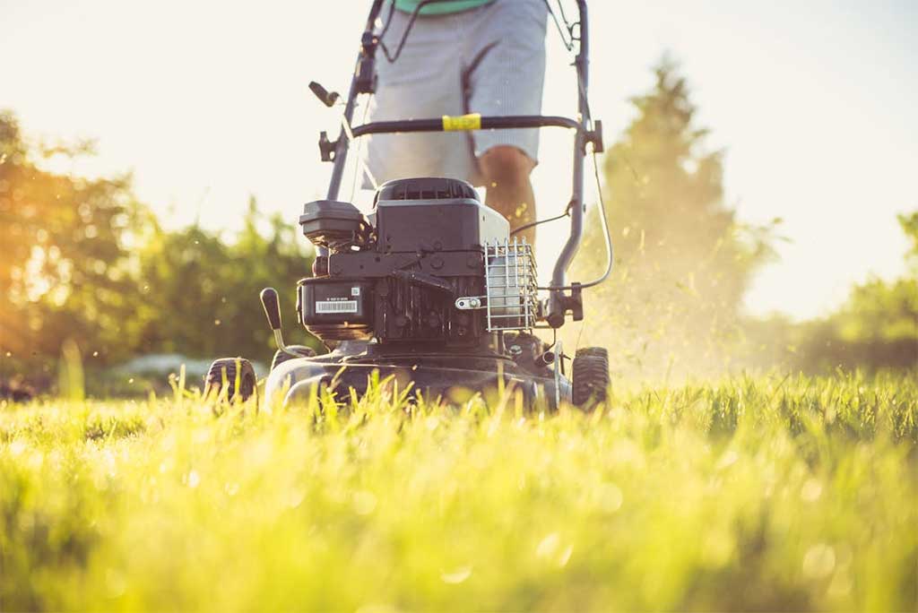 Is It Time To Rethink Your Lawn?