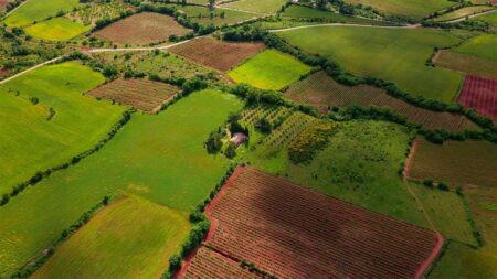 The Hidden Financial Potential Of Your Family Land
