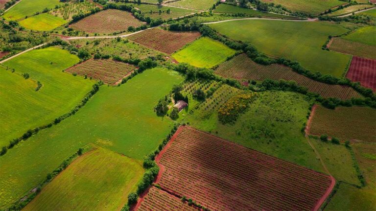 The Hidden Financial Potential Of Your Family Land